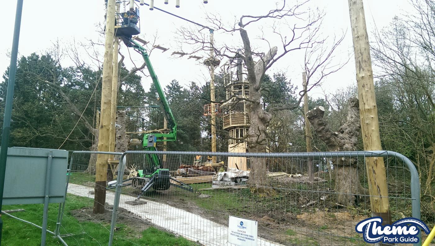 , Enchanted Forest Tree Top Quest Update