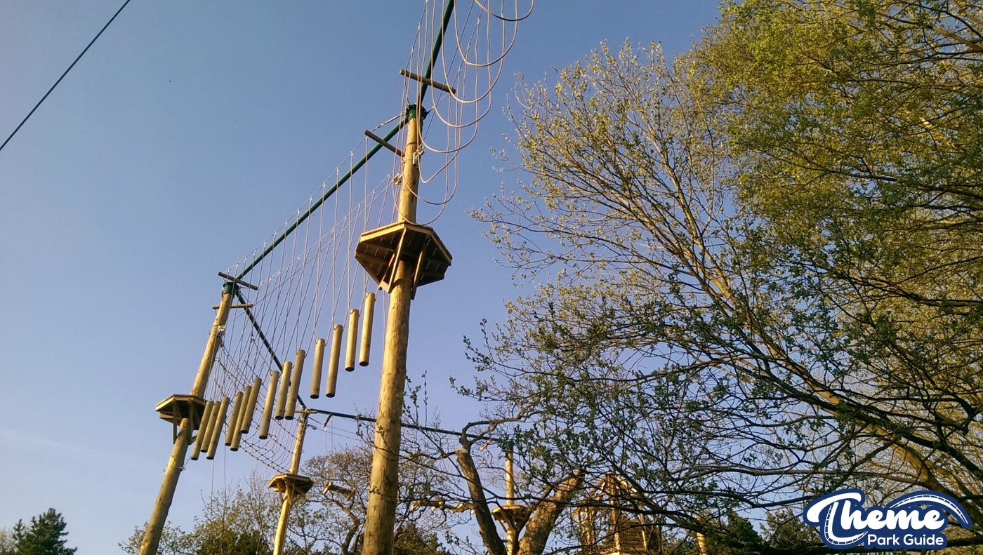 , Tree Top Quest Update