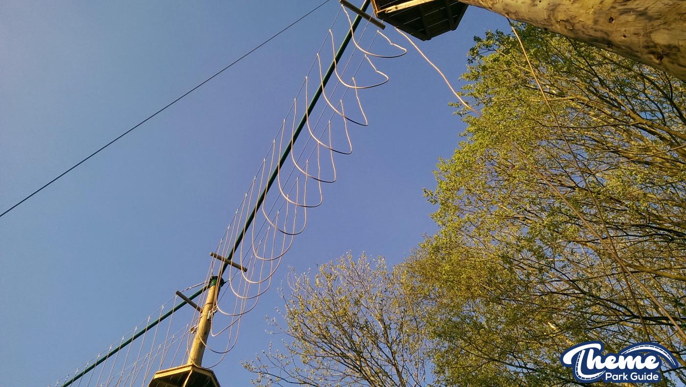 , Tree Top Quest Update