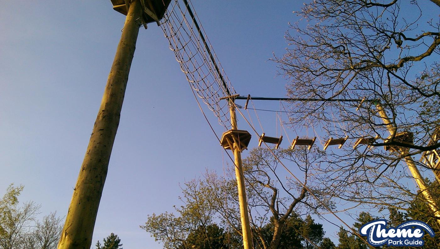 , Tree Top Quest Update