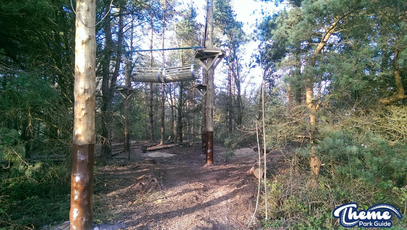 , Tree Top Quest Update
