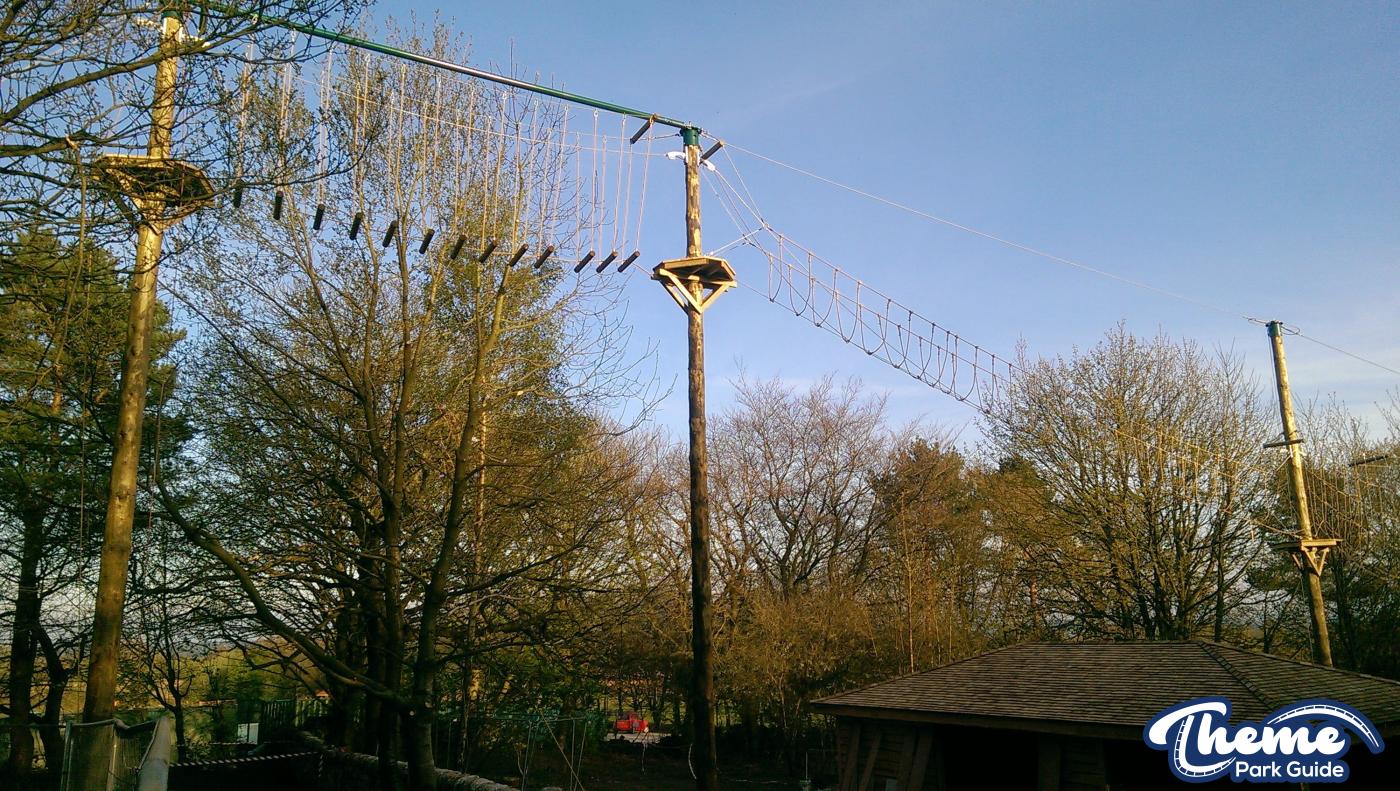 , Tree Top Quest Update
