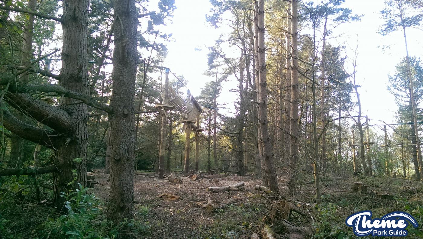 , Tree Top Quest Update