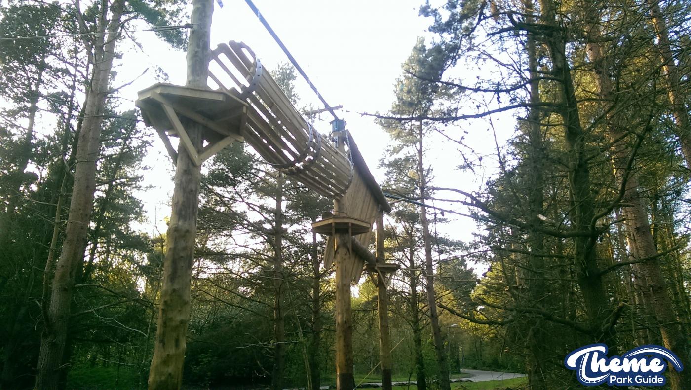 , Tree Top Quest Update