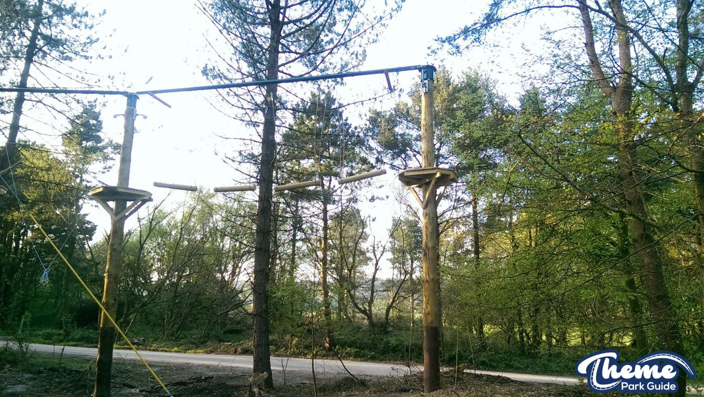 , Tree Top Quest Update