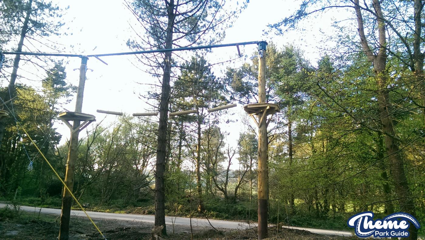 , Tree Top Quest Update