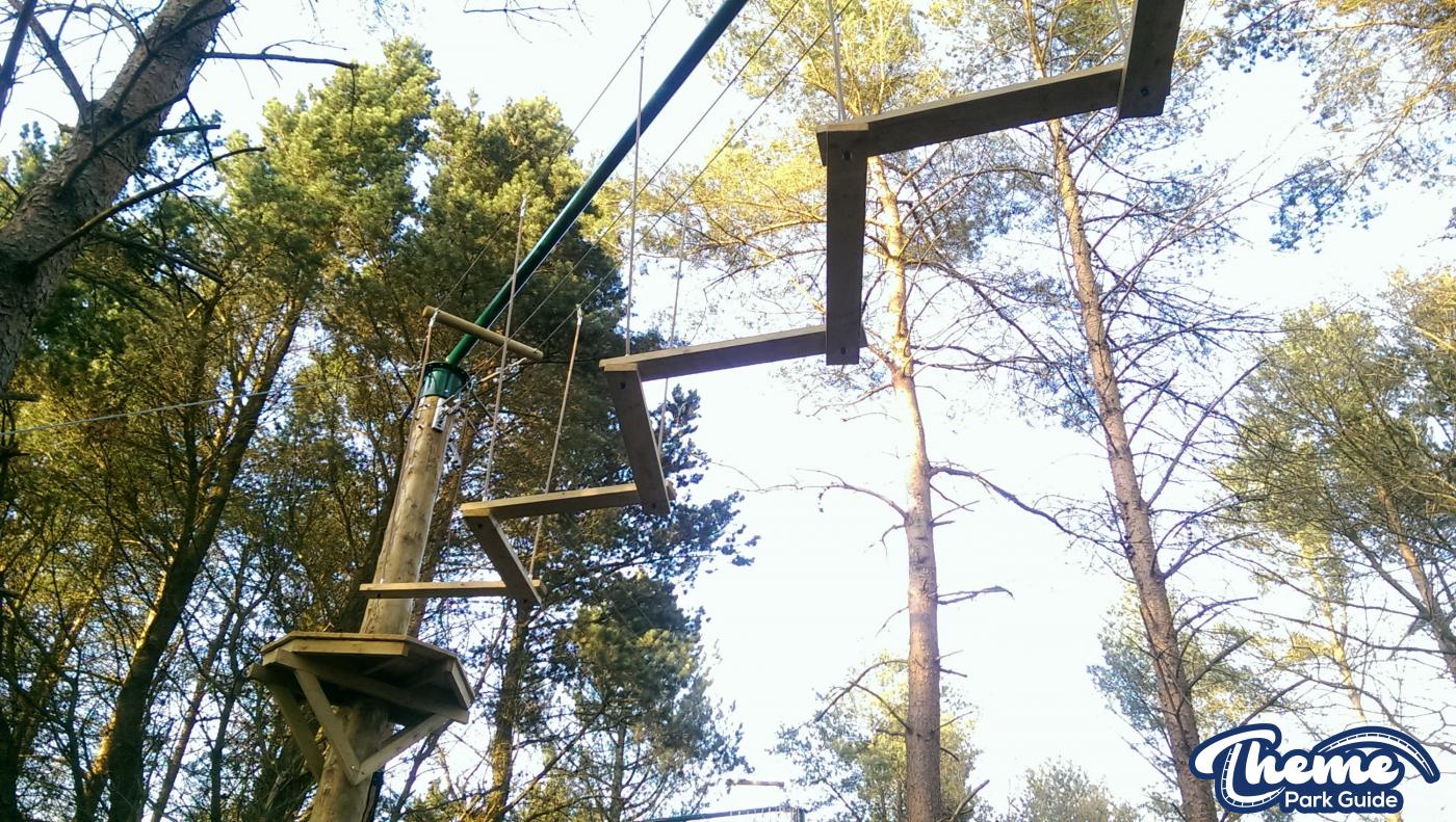, Tree Top Quest Update