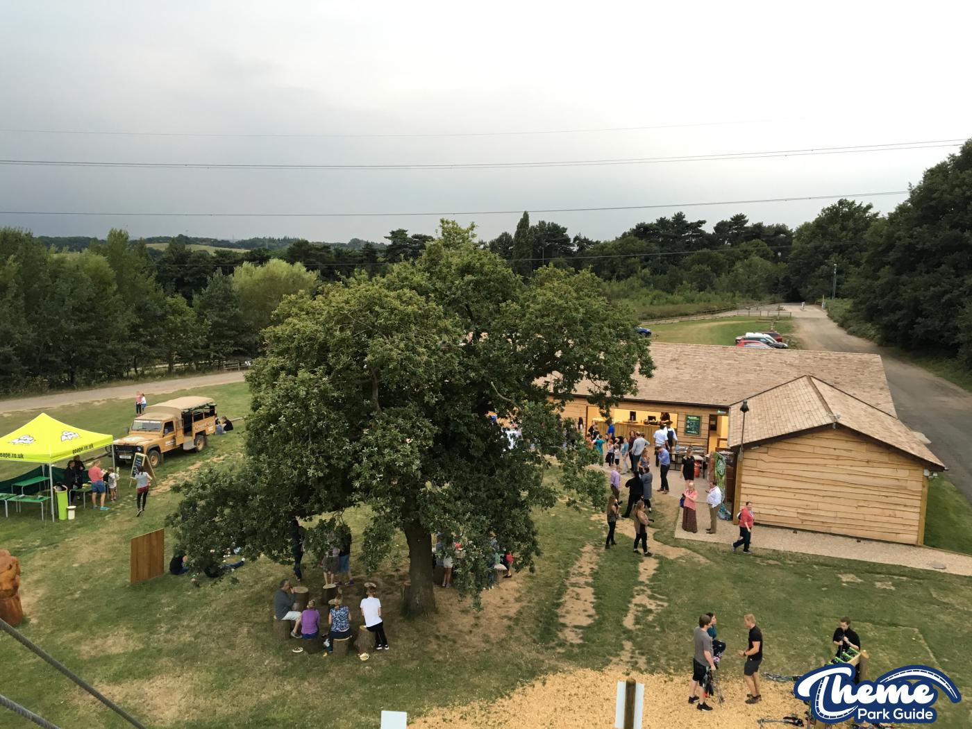 Chessington Go Ape -