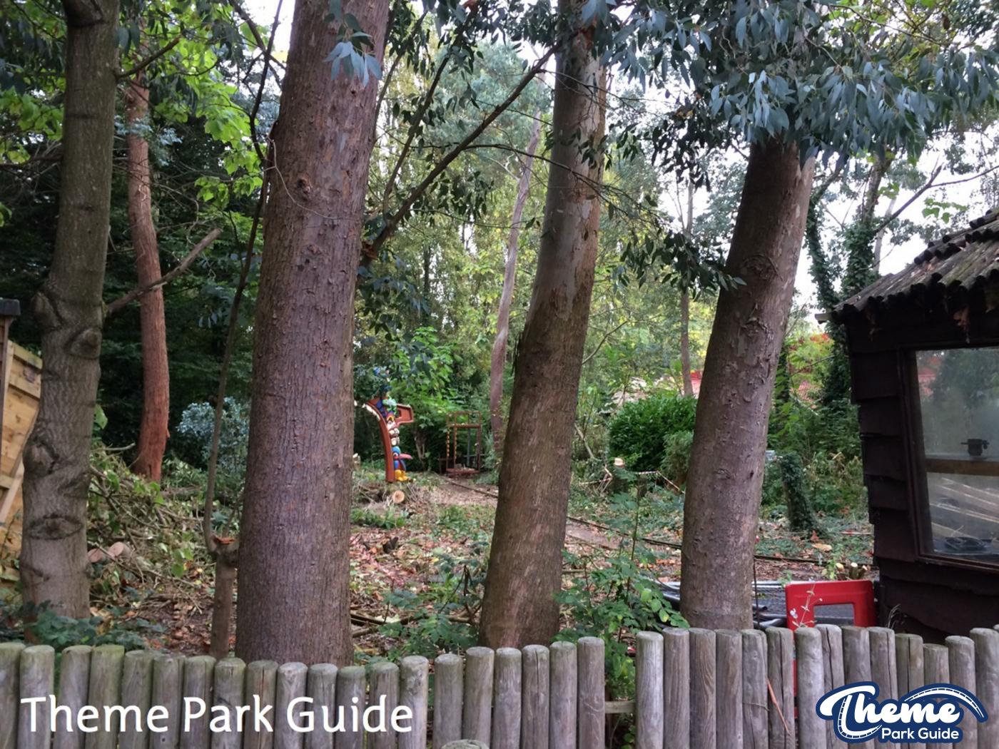 Tree Cutting At Thorpe Park