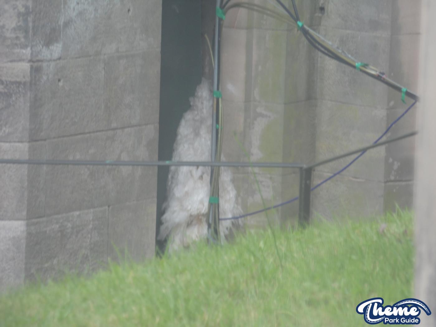 Alton Towers - Scarefest Construction (13/08/17)