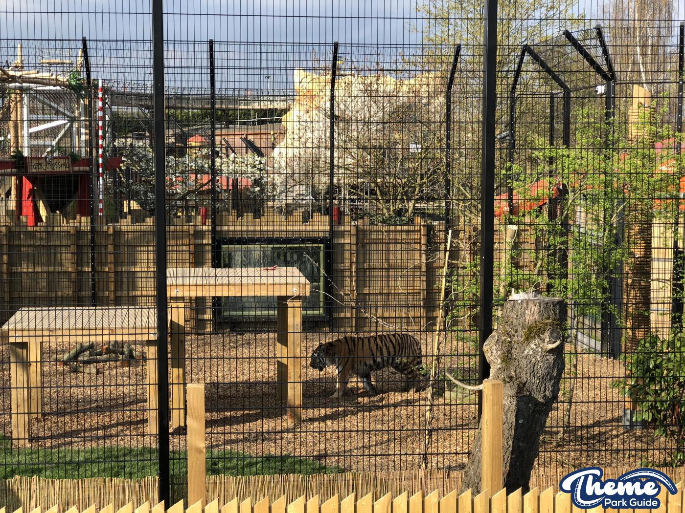 , Land of the Tiger Build Update