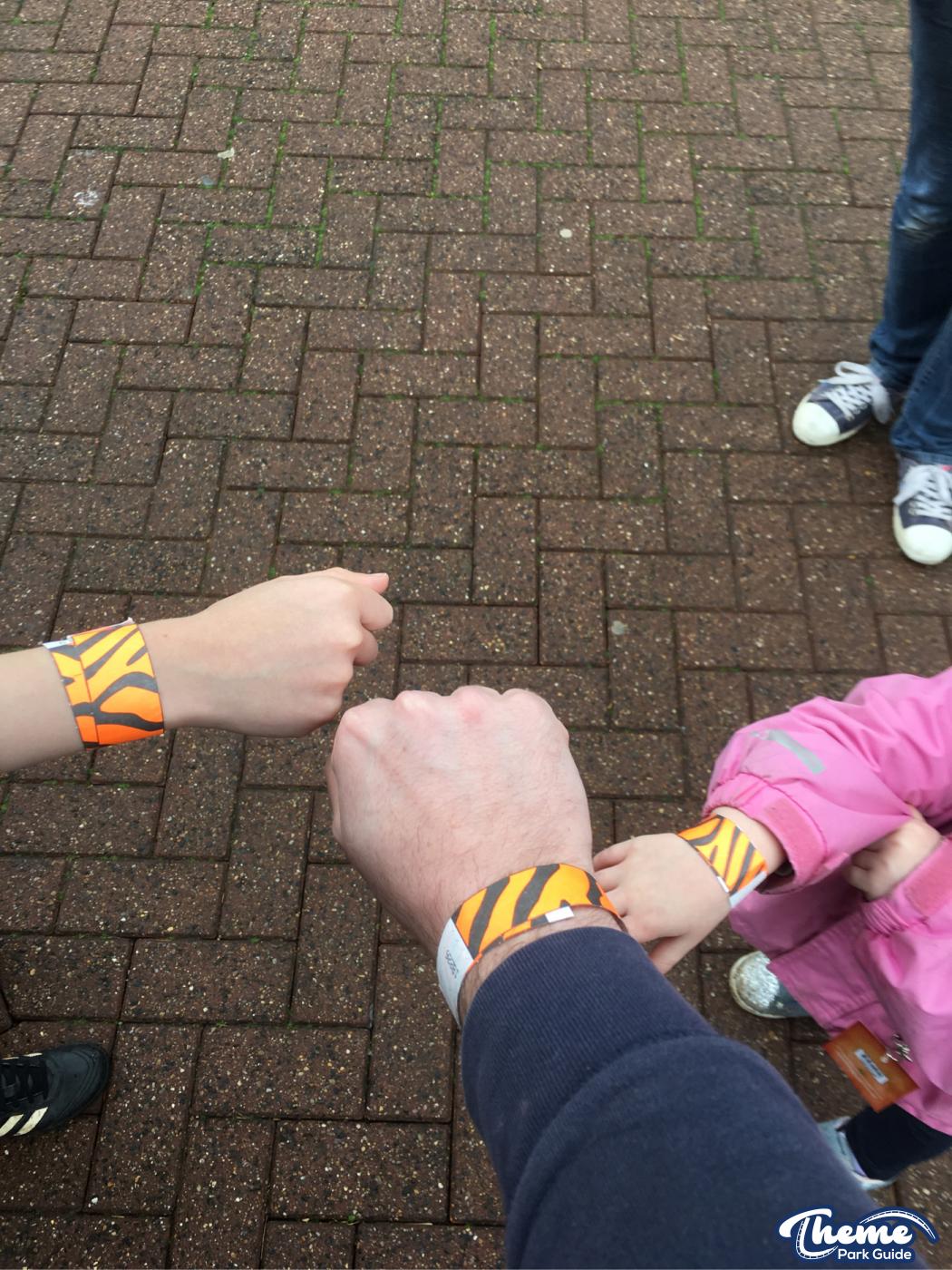 Chessington World Of Adventures - Land Of The Tiger Media Launch