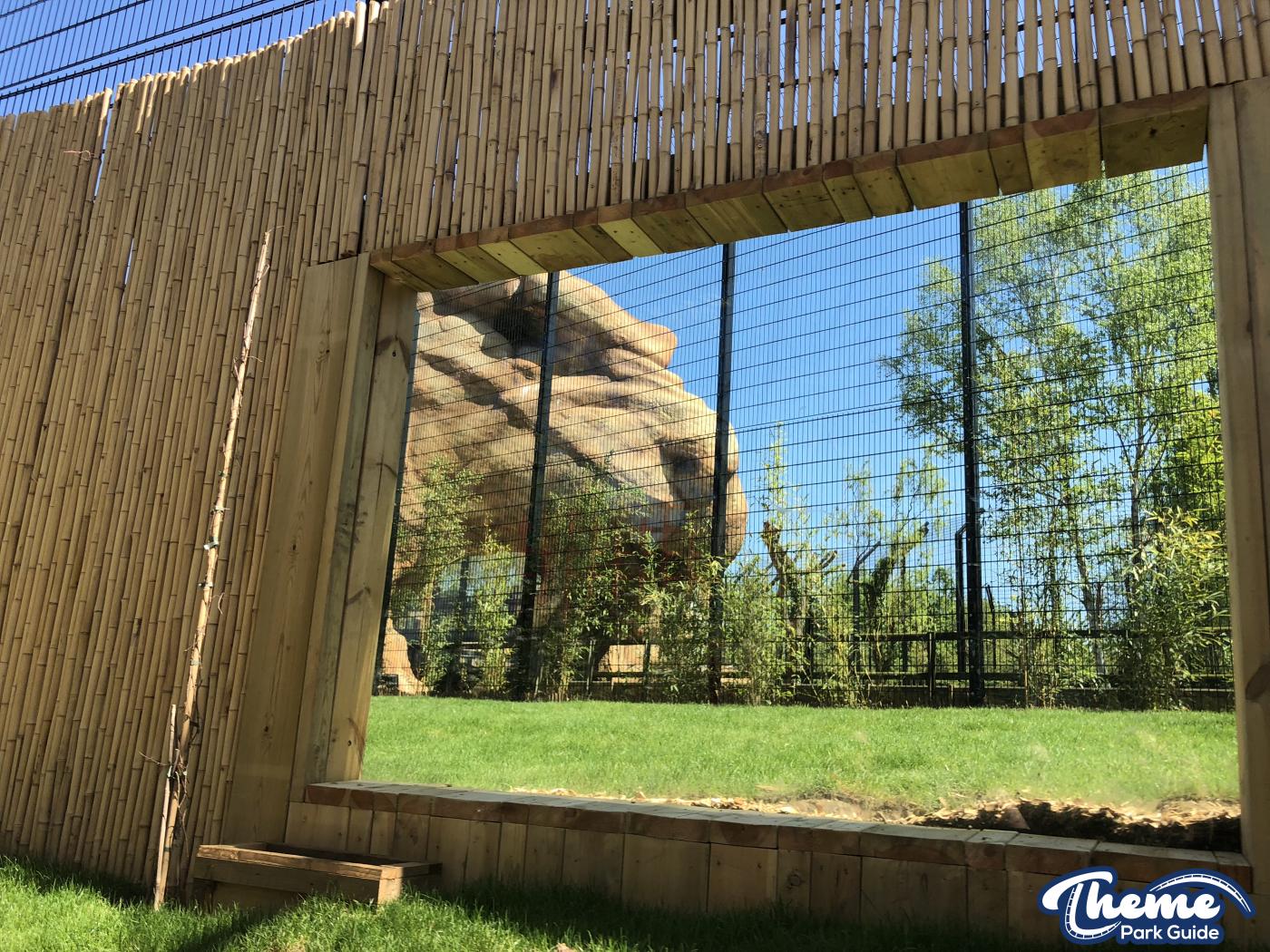 Chessington World Of Adventures - Land Of The Tiger Media Launch