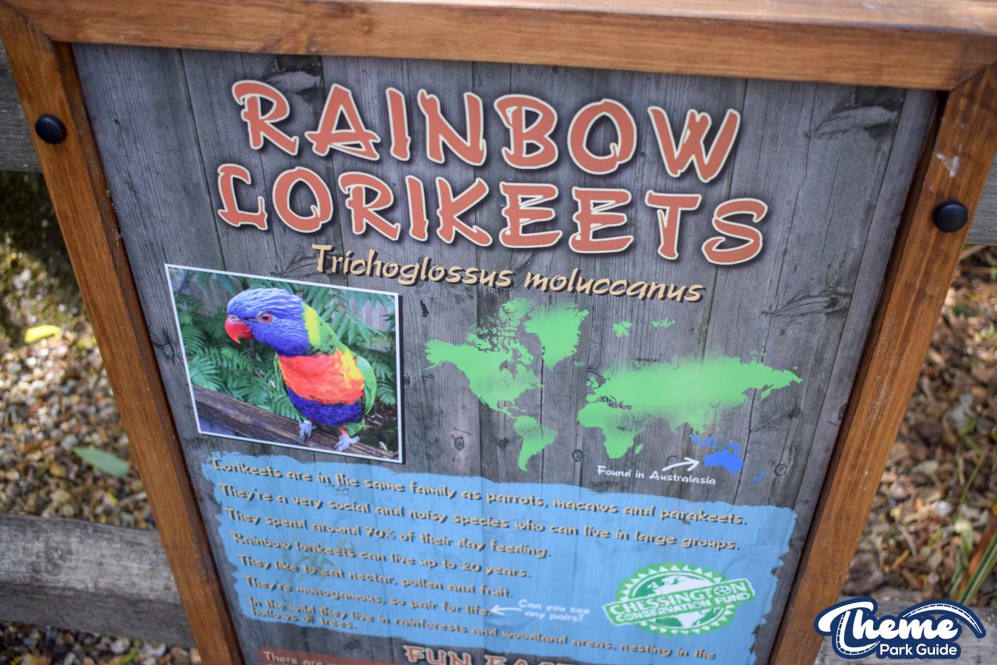Lorikeet Lagoon -