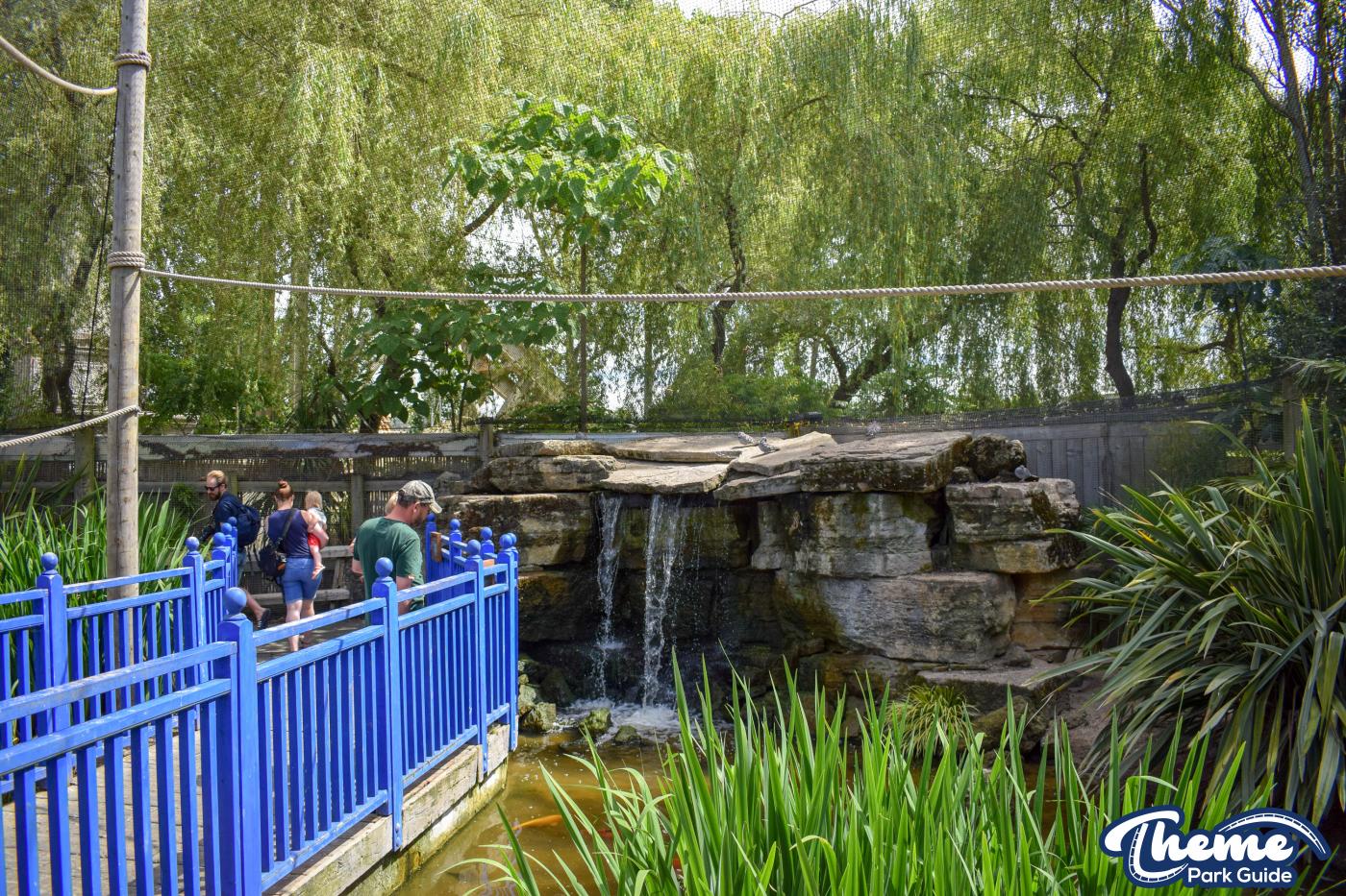 Lorikeet Lagoon -