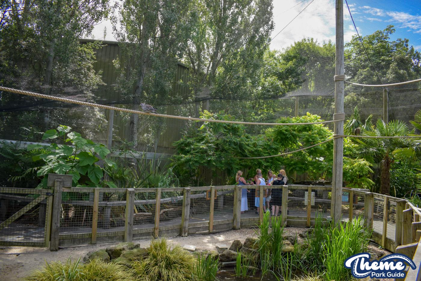 Lorikeet Lagoon -
