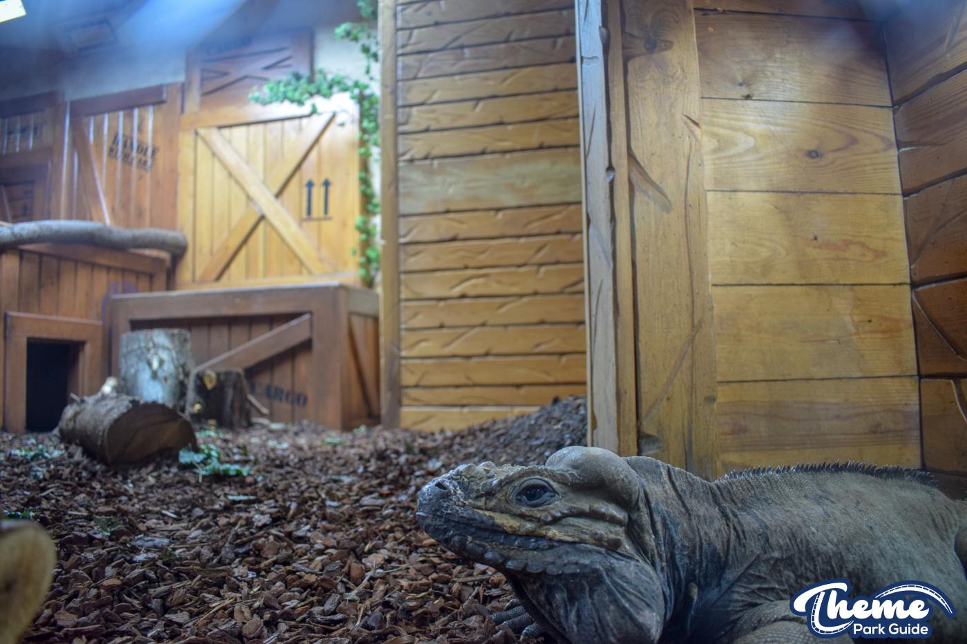 Safari Hotel - Chessington World Of Adventures