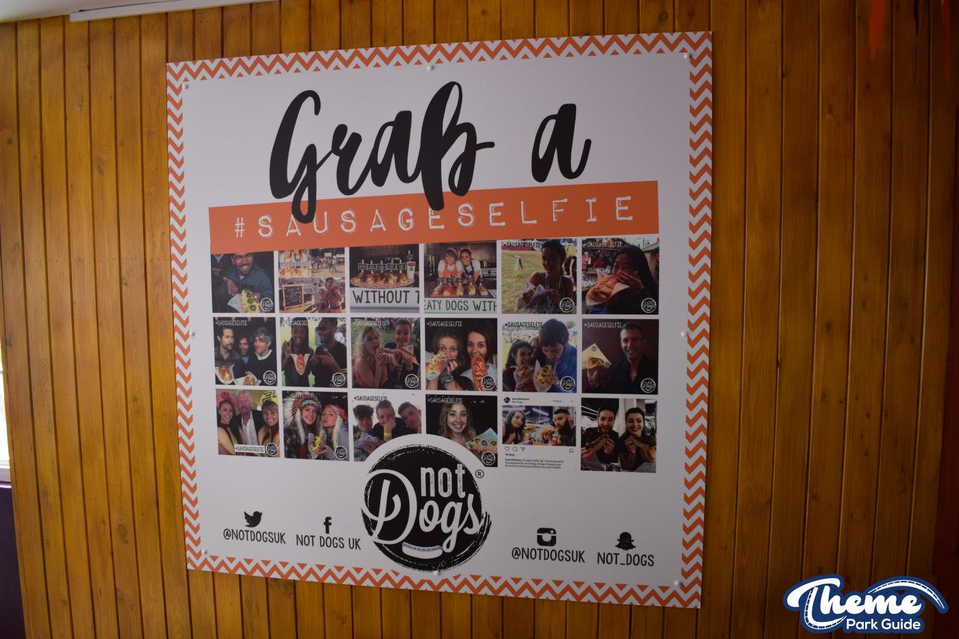 Not Dogs Restaurant Opens