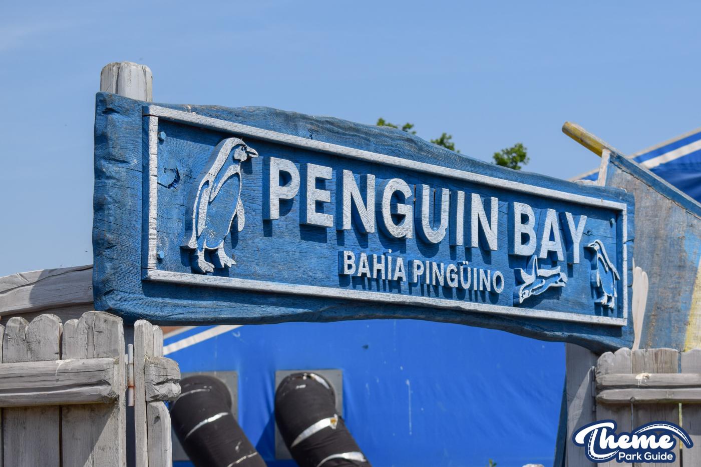 Penguin Bay - Chessington Zoo