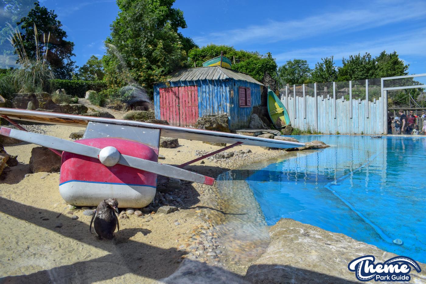 Penguin Bay - Chessington Zoo