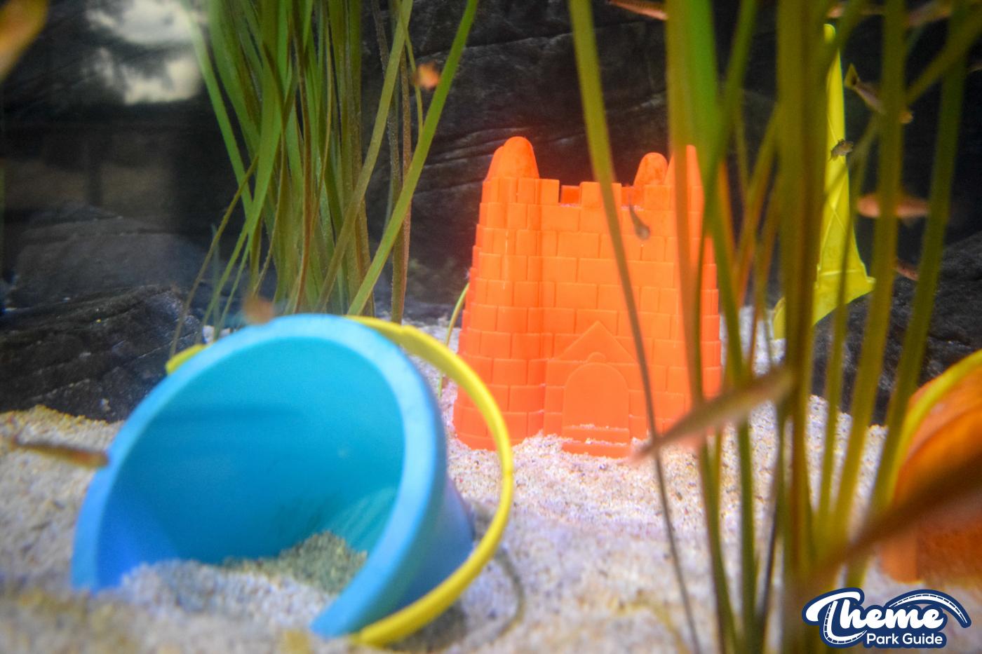 Sealife Centre - Chessington Zoo