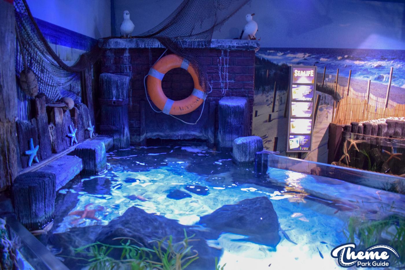 Sealife Centre - Chessington Zoo