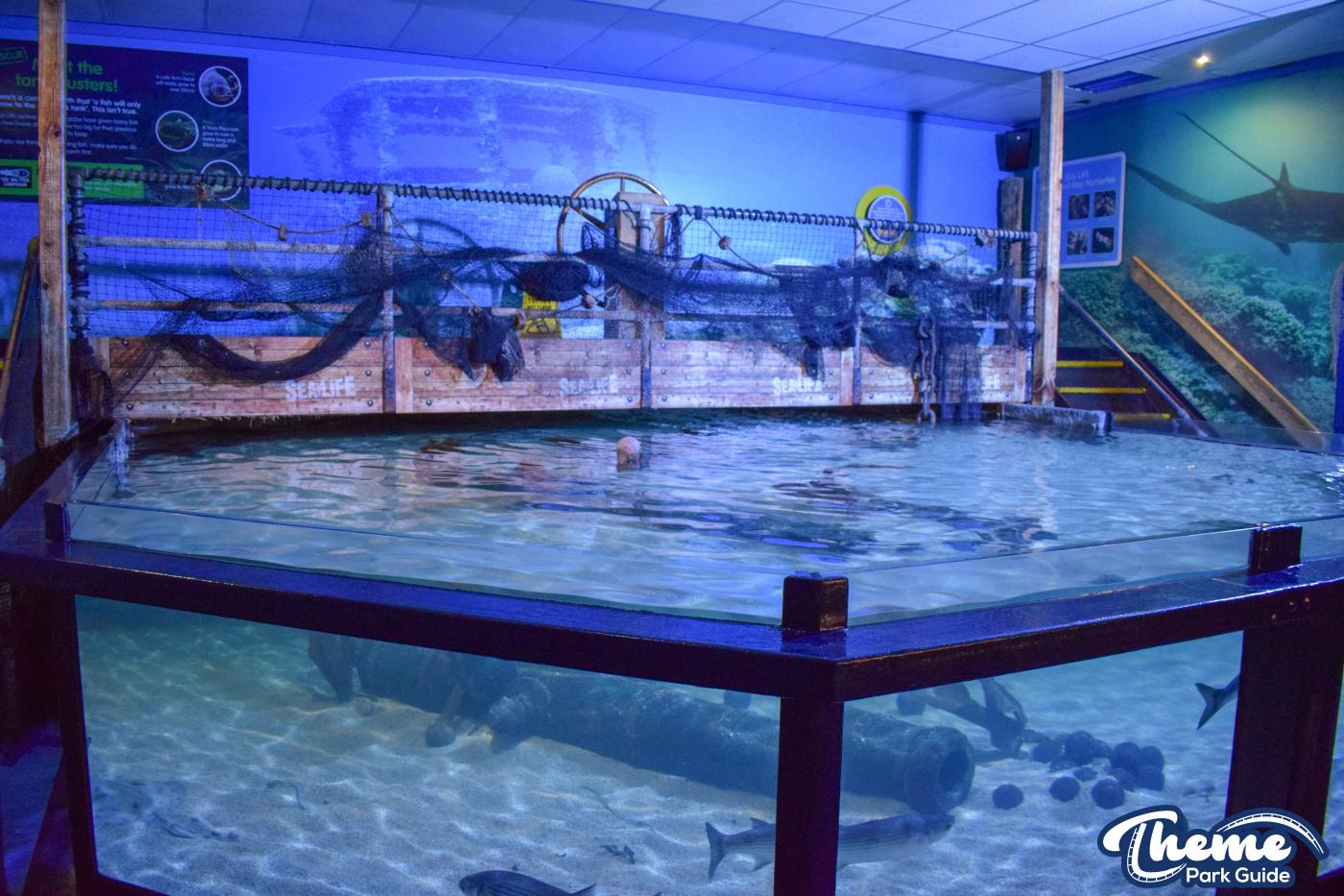 Sealife Centre - Chessington Zoo