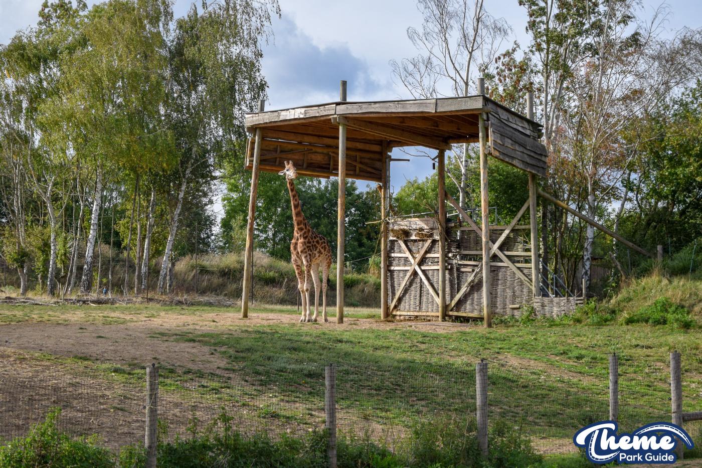Wanyama Village & Reserve - Chessington Zoo