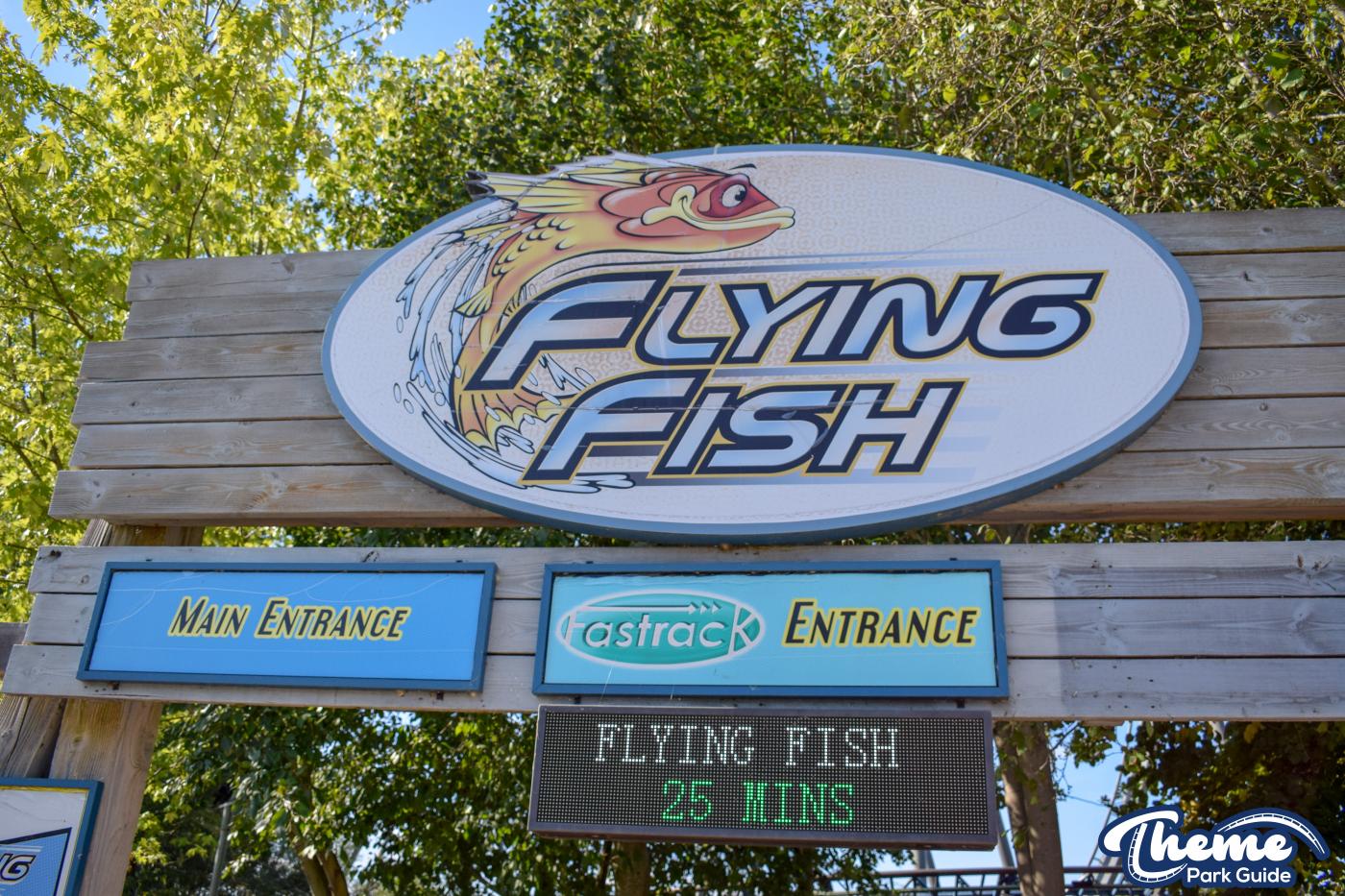 Flying Fish - Amity