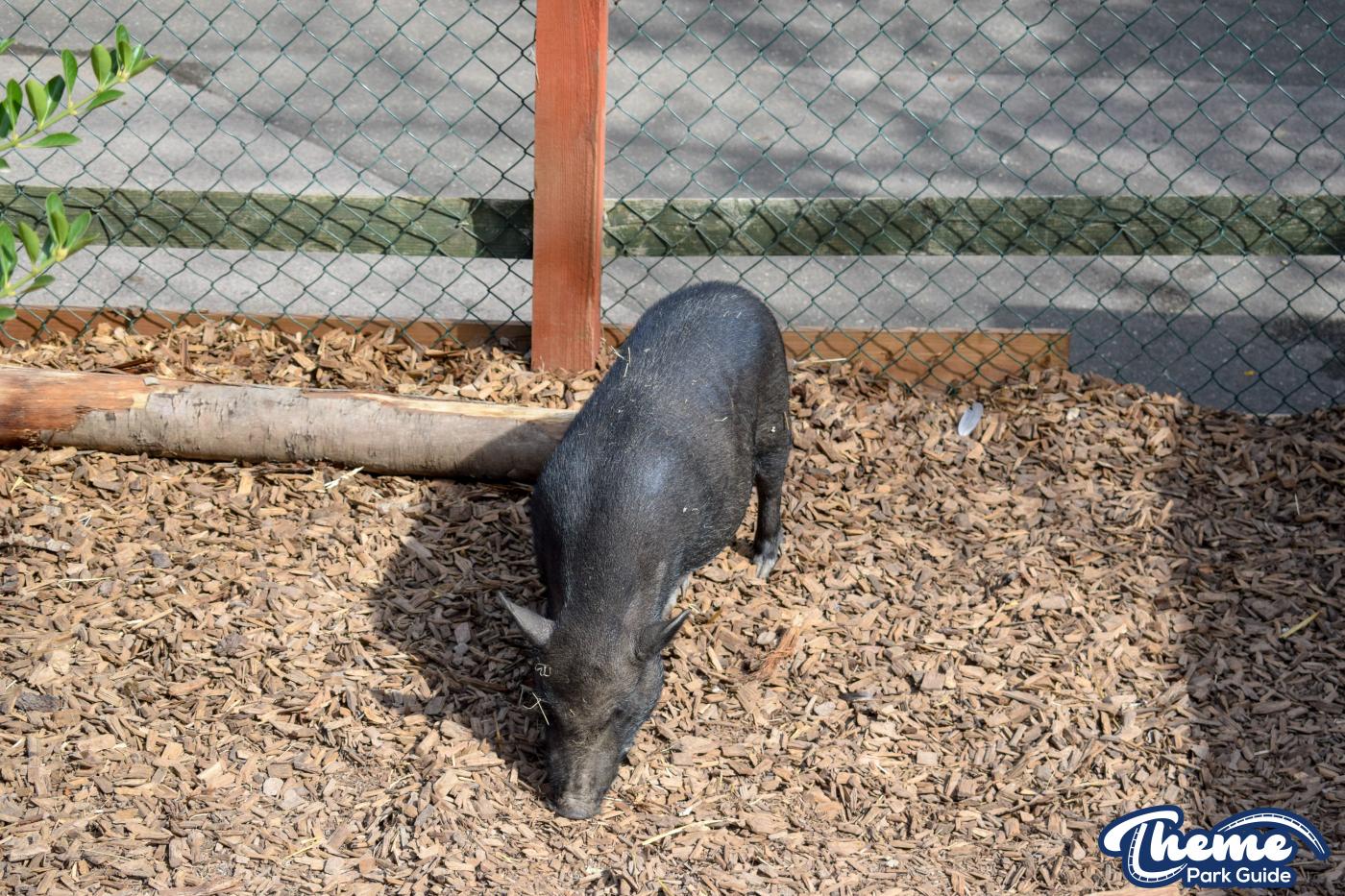 Yoohoo & Friends Zoo -