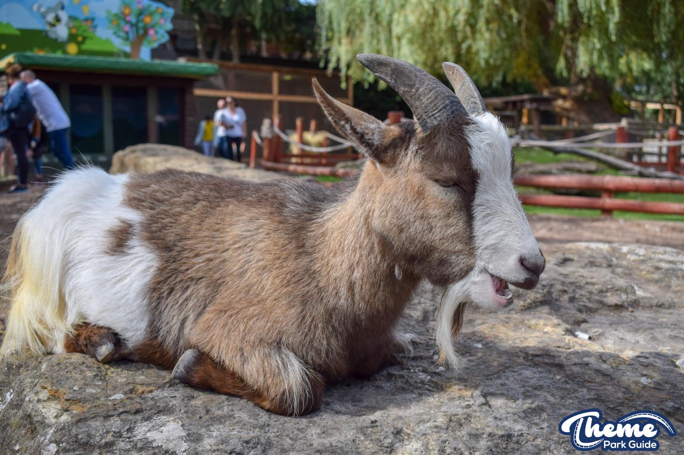 Yoohoo & Friends Zoo -