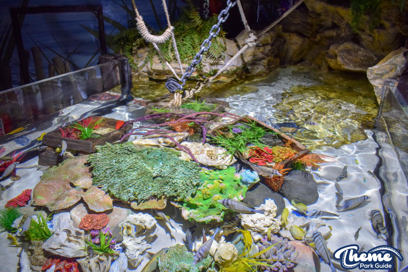 Sharkbait Reef by SEA LIFE - Mutiny Bay