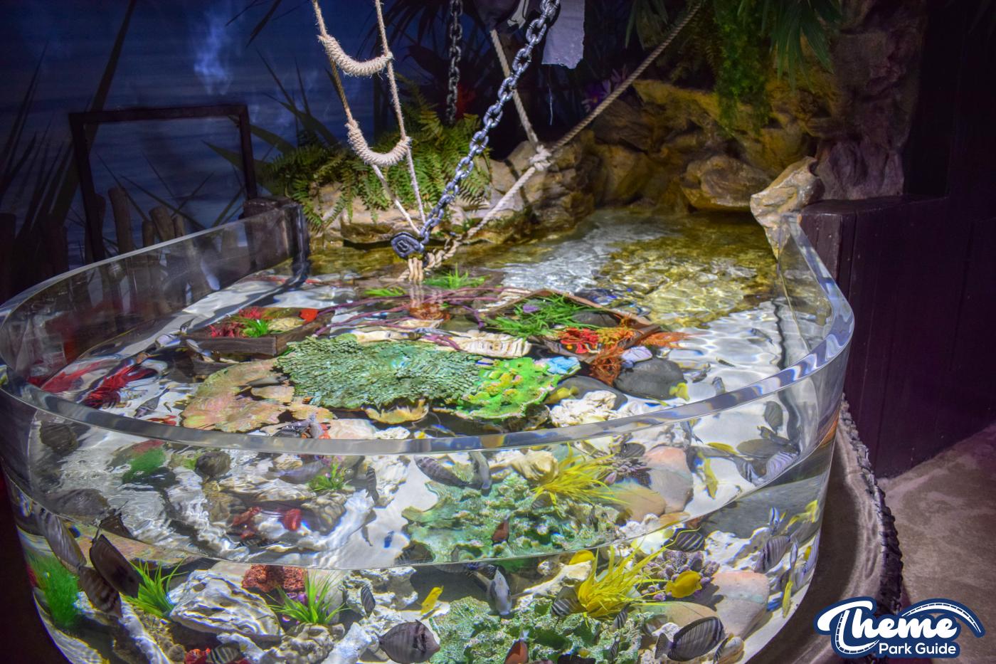 Sharkbait Reef by SEA LIFE - Mutiny Bay