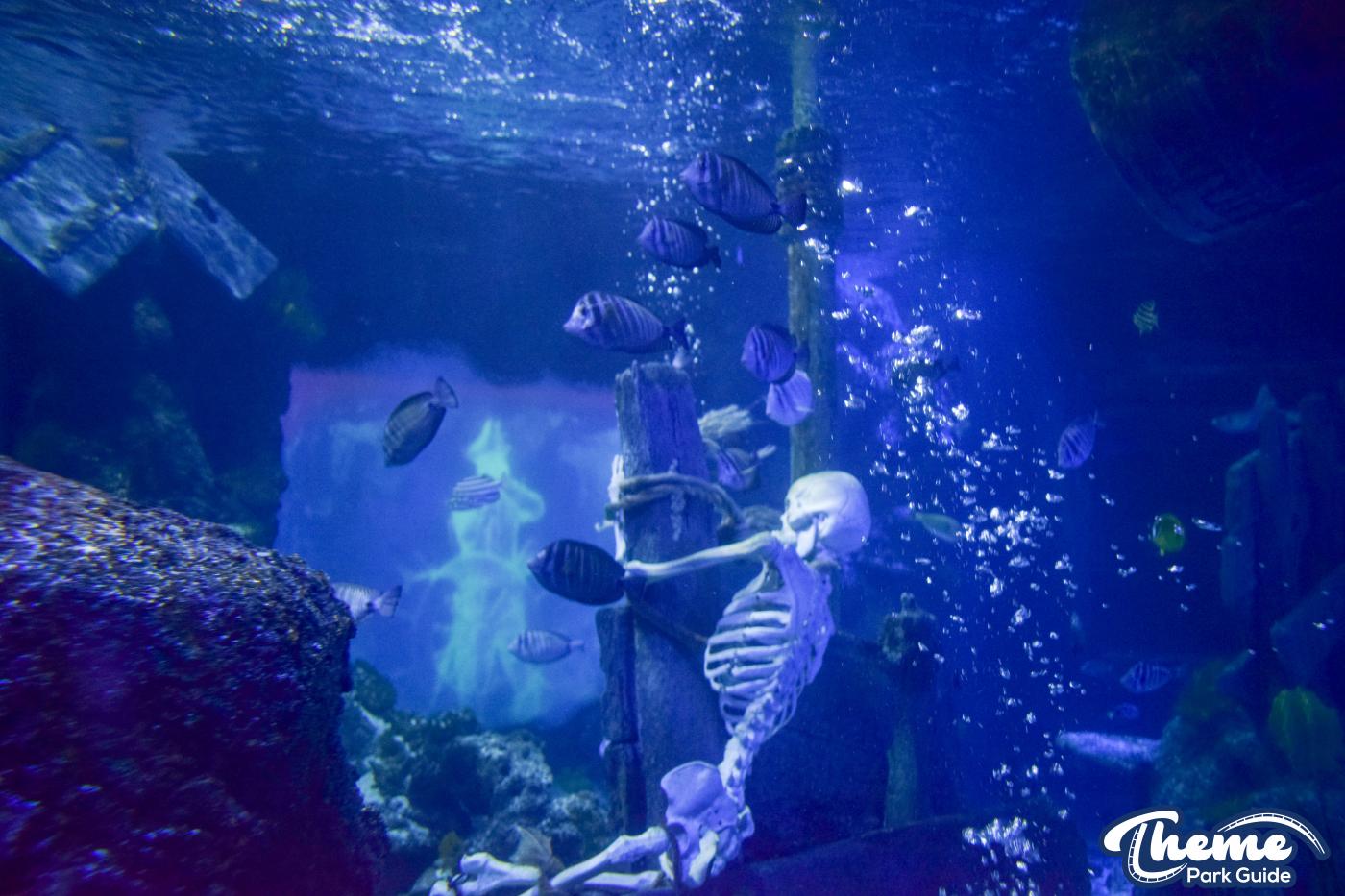 Sharkbait Reef by SEA LIFE - Mutiny Bay