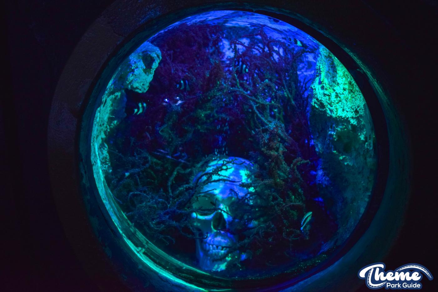 Sharkbait Reef by SEA LIFE - Mutiny Bay