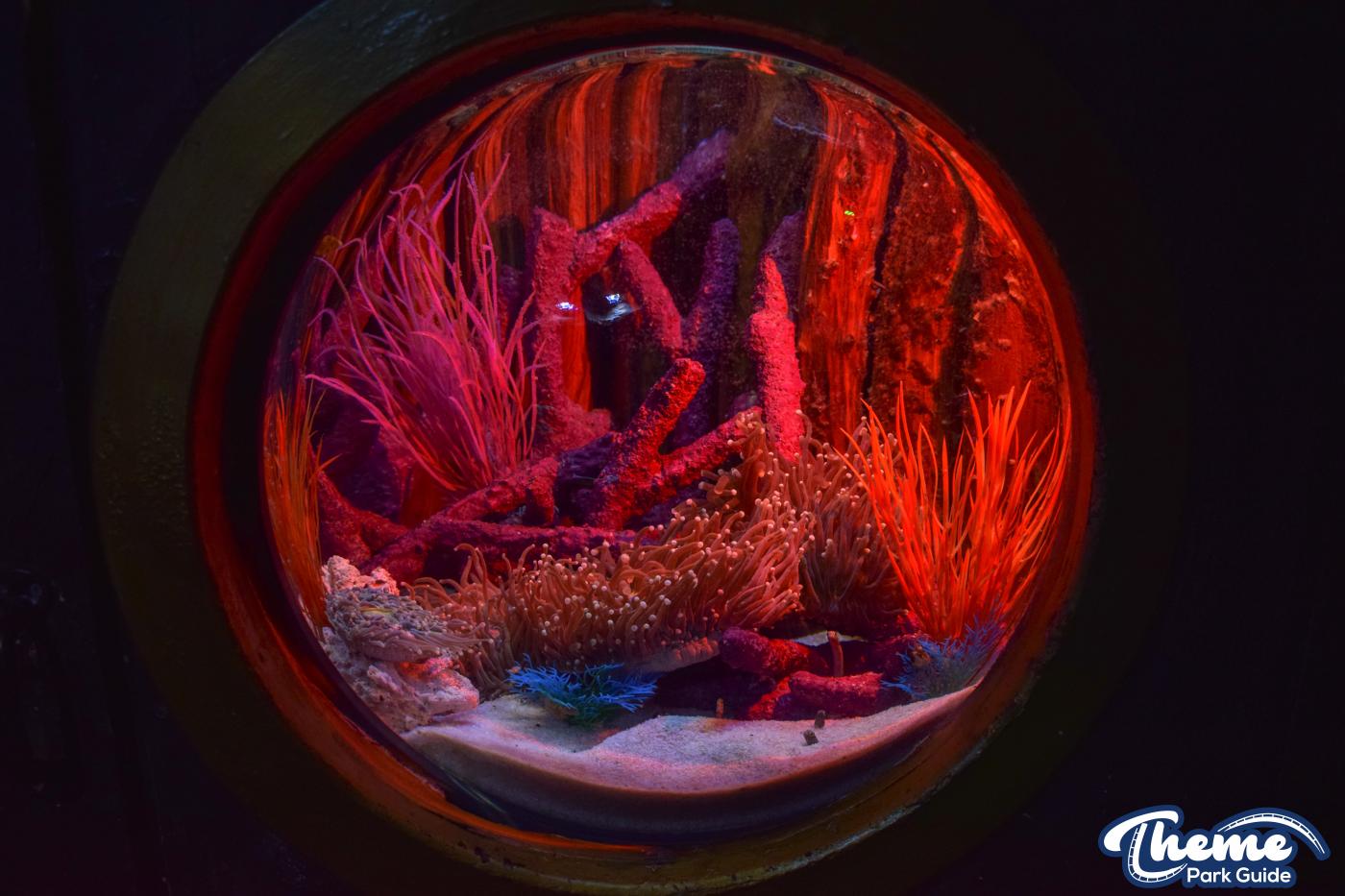 Sharkbait Reef by SEA LIFE - Mutiny Bay