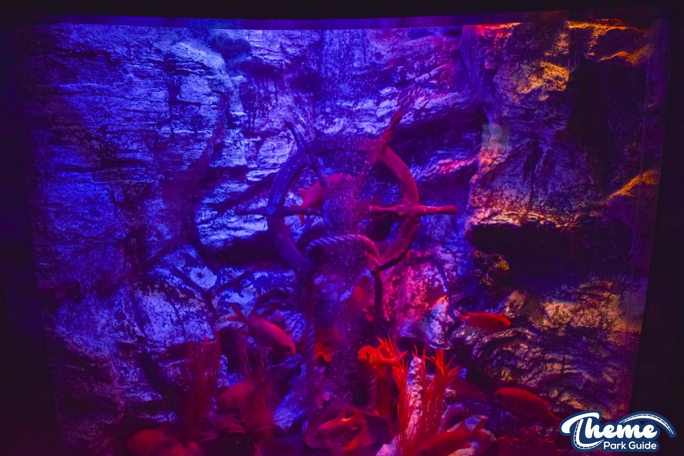 Sharkbait Reef by SEA LIFE - Mutiny Bay