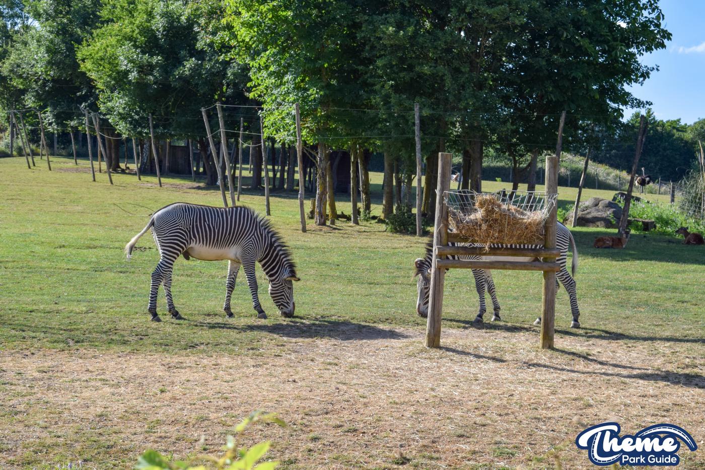 Wanyama Village & Reserve - Chessington Zoo