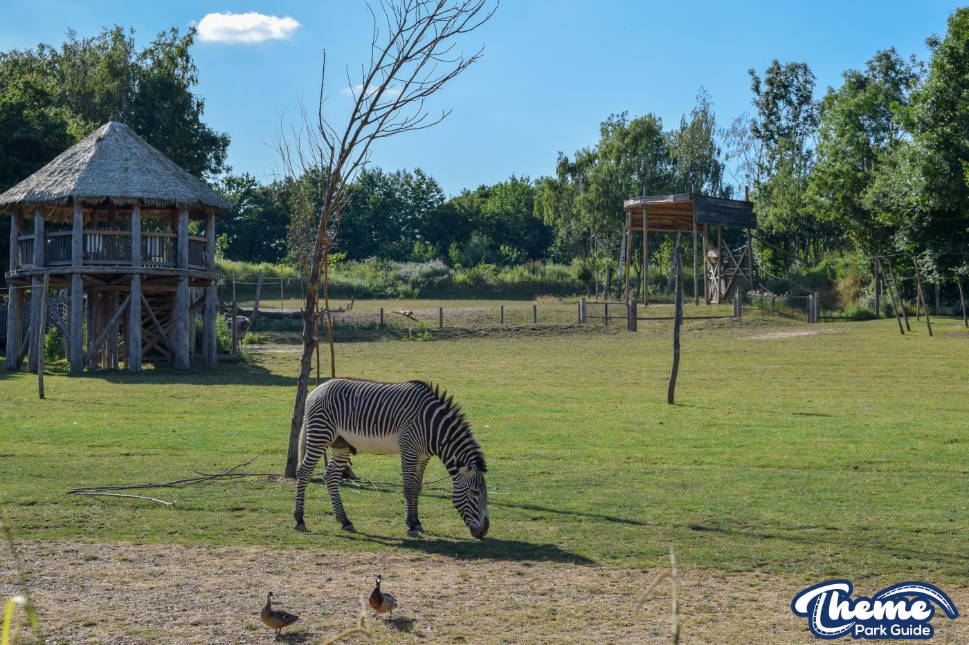 Wanyama Village & Reserve - Chessington Zoo