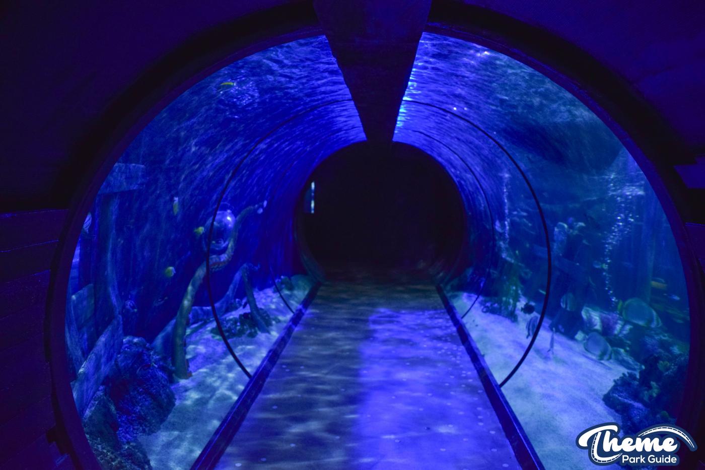 Sharkbait Reef by SEA LIFE - Mutiny Bay