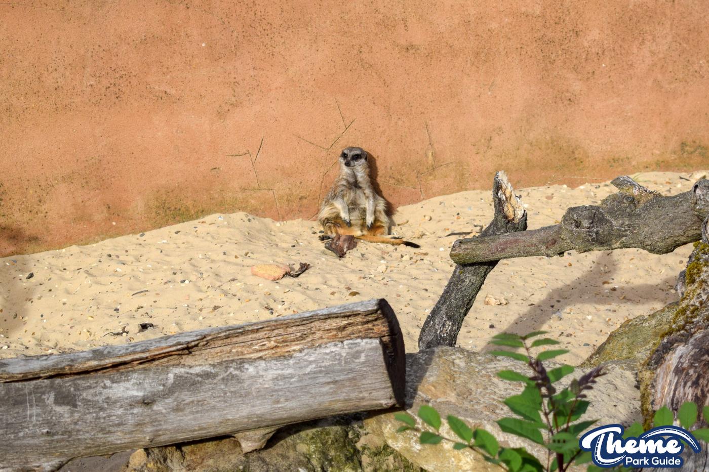 Wanyama Village & Reserve - Chessington Zoo