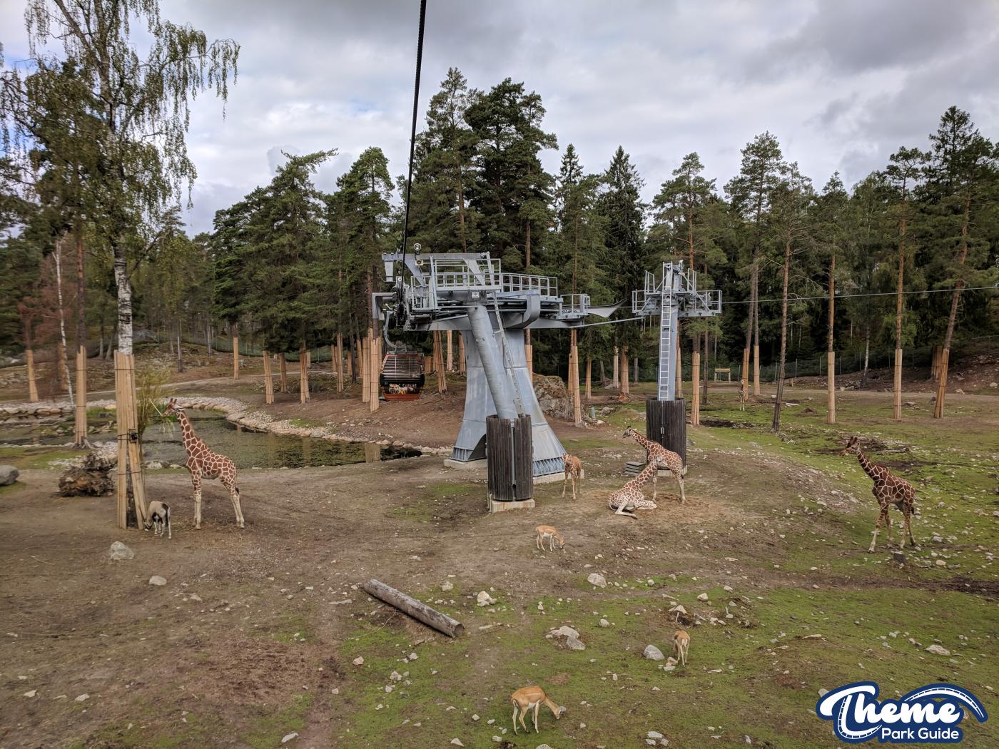 Safari -  Kolmarden Wildlife Park