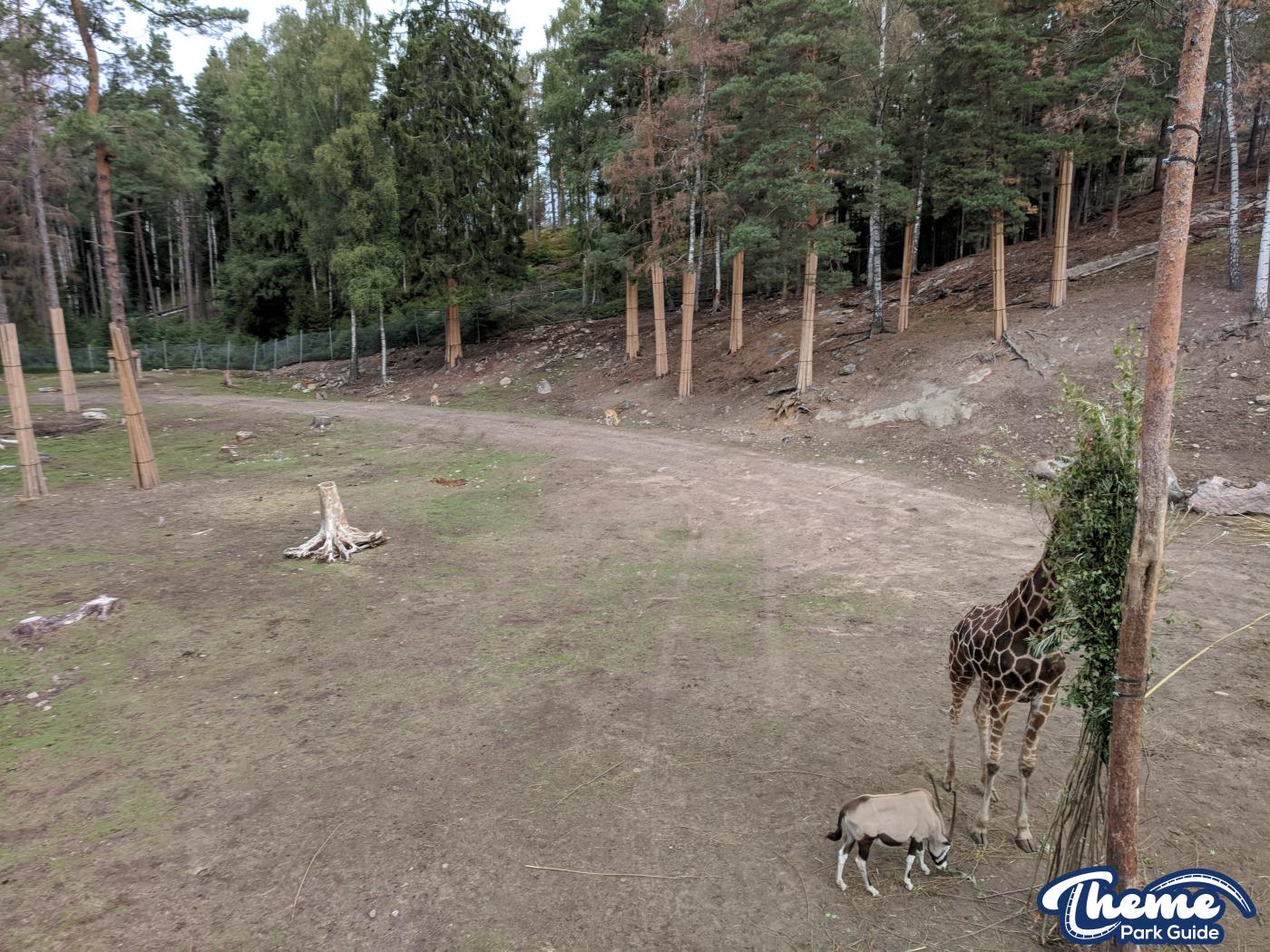 Safari -  Kolmarden Wildlife Park