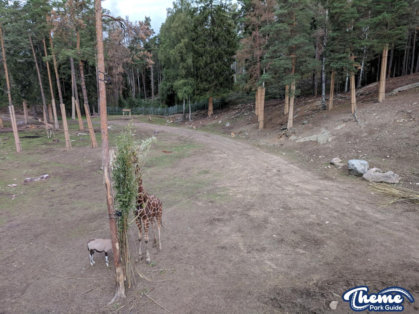 Safari -  Kolmarden Wildlife Park