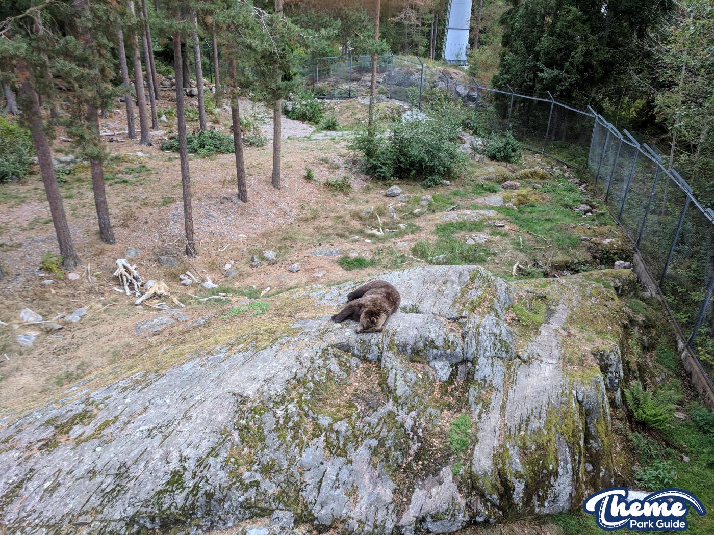 Safari -  Kolmarden Wildlife Park