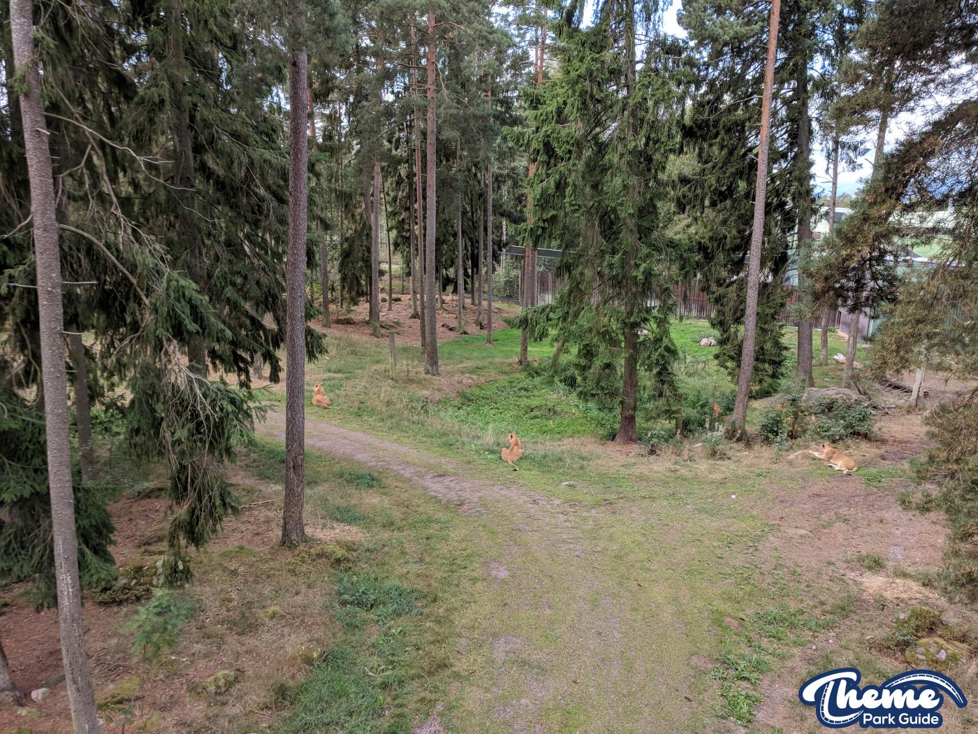 Safari -  Kolmarden Wildlife Park
