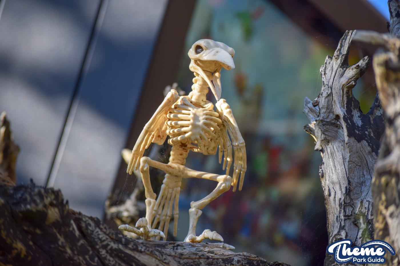 Chessington World Of Adventures - Howl’o’ween 2018
