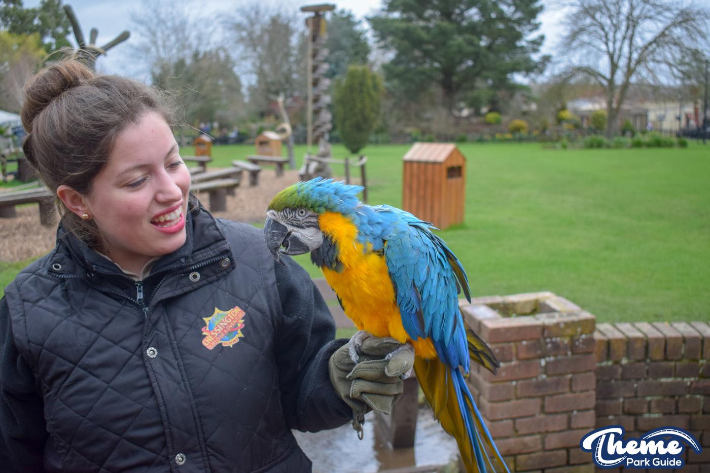 Chessington World Of Adventures - Room on the Broom Press Launch