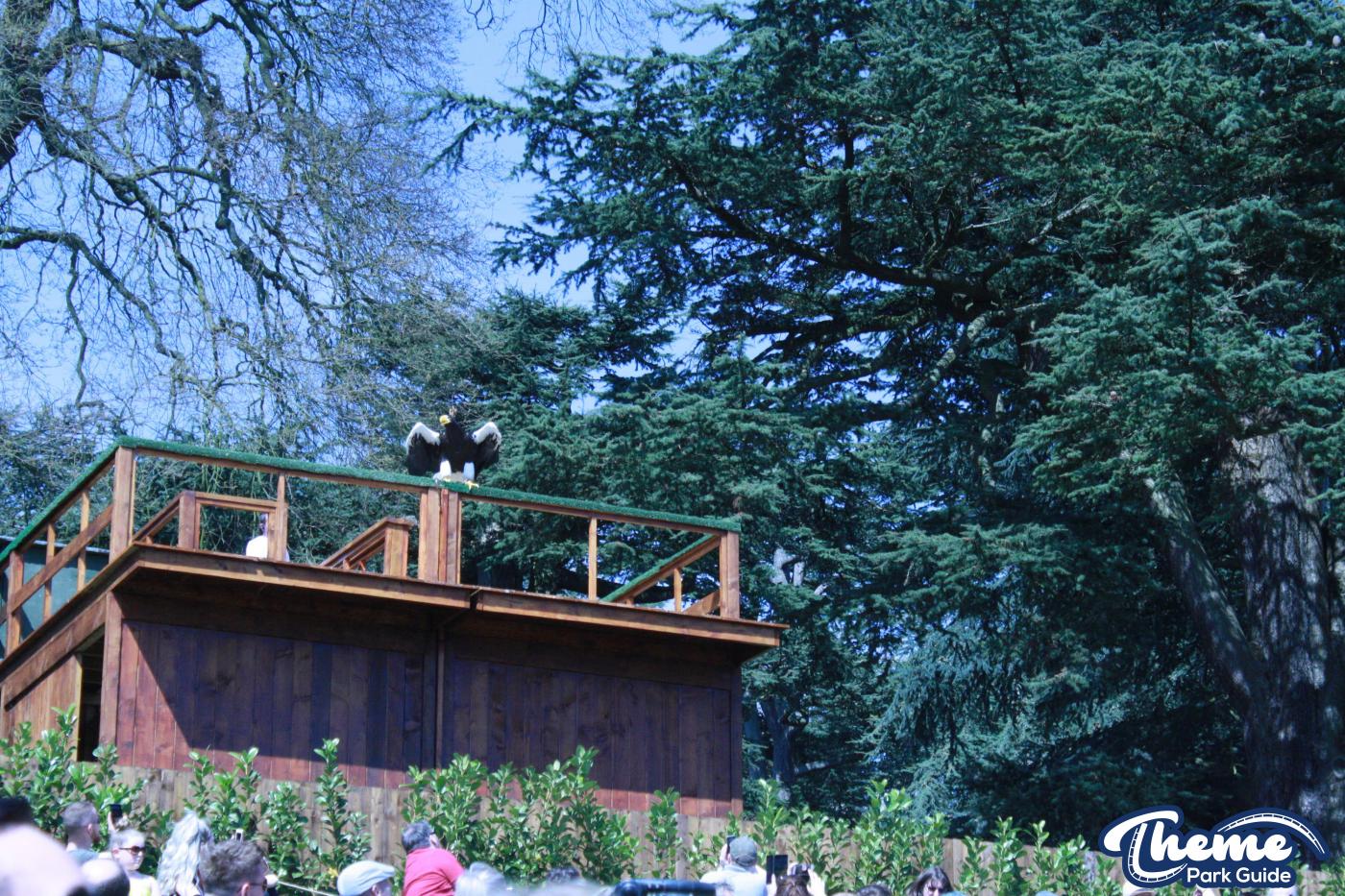 - The Falconer's Quest at Warwick Castle