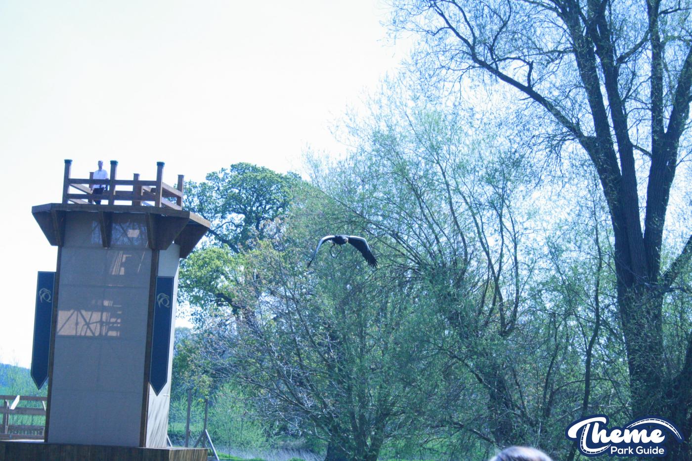 - The Falconer's Quest at Warwick Castle